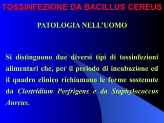TOSSINFEZIONE DA BACILLUS CEREUS PATOLOGIA NELL’UOMO   Si distinguono due diversi tipi di tossinfezioni alimentari che, per il periodo di incubazione ed il quadro clinico richiamano le forme sostenute da  Clostridium Perfrigens e da Staphylococcus Aureus. 