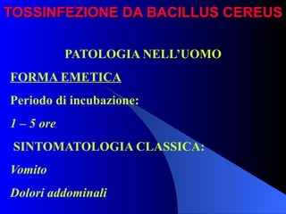 TOSSINFEZIONE DA BACILLUS CEREUS PATOLOGIA NELL’UOMO FORMA EMETICA Periodo di incubazione: 1 – 5 ore SINTOMATOLOGIA CLASSICA: Vomito Dolori addominali   