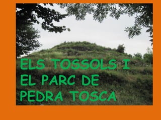 ELS TOSSOLS I
EL PARC DE
PEDRA TOSCA
 