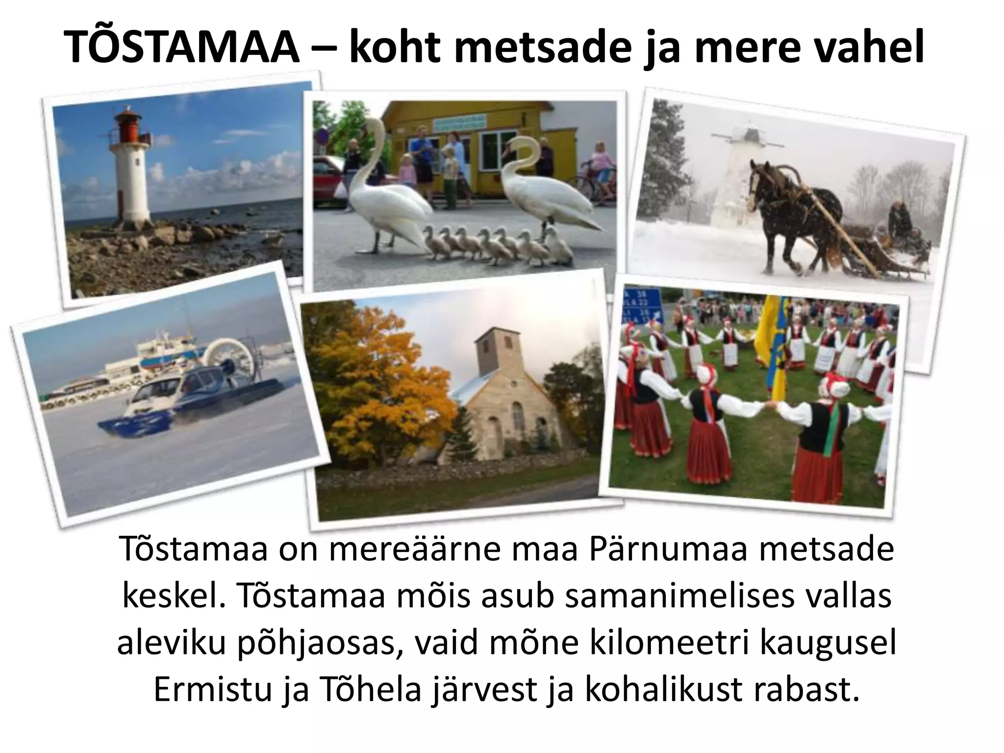 TÕSTAMAA – koht metsade ja mere vahel

Tõstamaa on mereäärne maa Pärnumaa metsade
keskel. Tõstamaa mõis asub samanimelises vallas
aleviku põhjaosas, vaid mõne kilomeetri kaugusel
Ermistu ja Tõhela järvest ja kohalikust rabast.

 