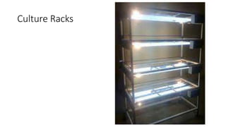 Culture Rack Structure To study plant tissue culture laboratory design and set up | PPTX