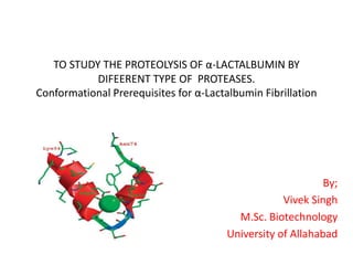 TO STUDY THE PROTEOLYSIS OF α-LACTALBUMIN BY
DIFEERENT TYPE OF PROTEASES.
Conformational Prerequisites for α-Lactalbumin Fibrillation
By;
Vivek Singh
M.Sc. Biotechnology
University of Allahabad
 