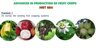 Practical 1
To survey the existing fruit cropping systems
ADVANCES IN PRODUCTION OF FRUIT CROPS
HRT 604
 