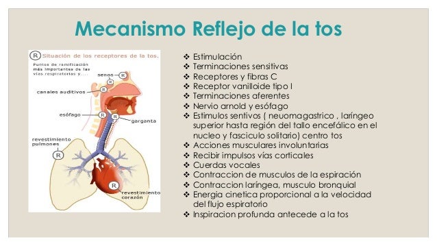 Tos y hemoptisis