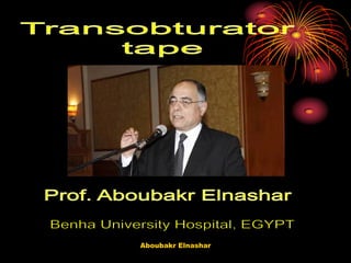 Aboubakr Elnashar  