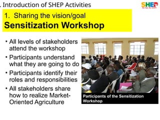 Shep Program Qld Empowering Smallholder Farmers through SHEP: Market-Oriented ...