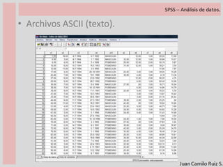 Características de la variable.Los últimos tres campos, nos permiten ingresar dos tipos de información, primero el grosor y alineación de los valores de la variable, segundo el tipo de medida que tiene la variable.