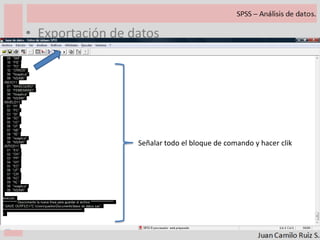 Etiqueta. Nombre de la variable con algunos rasgos (hasta 250 caracteres)