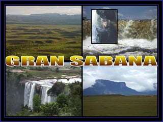 GRAN SABANA 