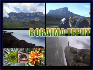 RORAIMA TEPUY 