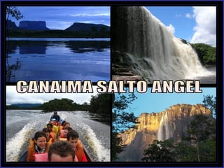 CANAIMA SALTO ANGEL 