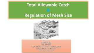Total Allowable Catch
&
Regulation of Mesh Size
 