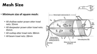 Mesh Size
• Minimum size of square mesh:
• All shallow water prawn otter trawl
nets: 35mm
• All deepwater prawn otter trawl nets:
45mm
• All scallop otter trawl nets: 88mm
• All beam trawl nets: 28mm
 