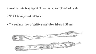 • Another disturbing aspect of trawl is the size of codend mesh
• Which is very small <15mm
• The optimum prescribed for sustainable fishery is 35 mm
 