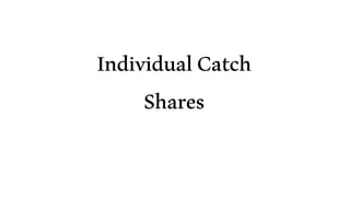 IndividualCatch
Shares
 