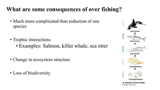 What are some consequences of over fishing?
• Much more complicated than reduction of one
species
• Trophic interactions
• Examples: Salmon, killer whale, sea otter
• Change in ecosystem structure
• Loss of biodiversity
 
