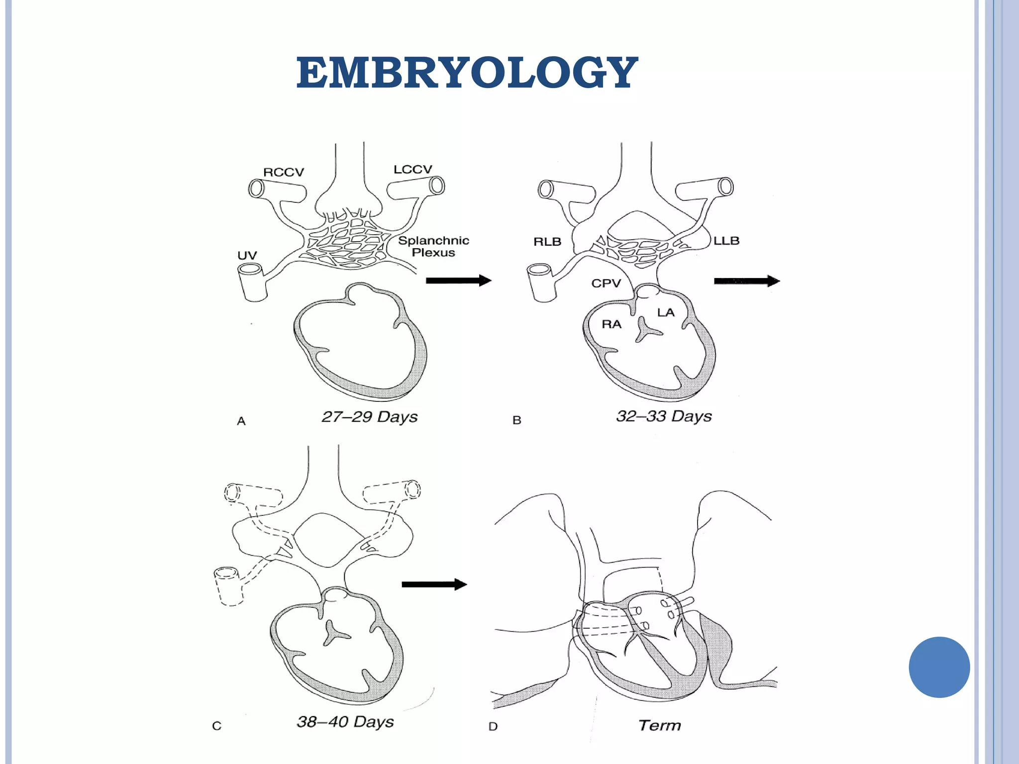 EMBRYOLOGY
 