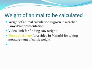 Weight of animal to be calculated
 Weight of animal calculation is given in a earlier
PowerPoint presentation
 Video Lin...
