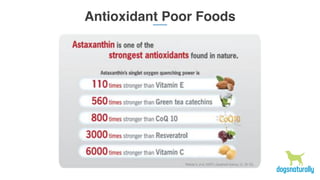 Antioxidant LossAntioxidant Poor Foods
 