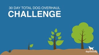 30 DAY TOTAL DOG OVERHAUL
CHALLENGE
 