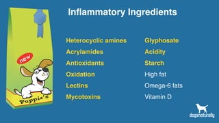 Inflammatory Ingredients
Heterocyclic amines
Acrylamides
Antioxidants
Oxidation
Lectins
Mycotoxins
Glyphosate
Acidity
Starch
High fat
Omega-6 fats
Vitamin D
 