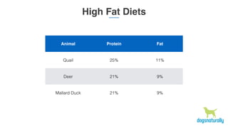 High Fat Diets
Animal Protein Fat
Quail 25% 11%
Deer 21% 9%
Mallard Duck 21% 9%
 