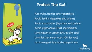 Protect The Gut
Add fruits, berries and vegetables
Avoid lectins (legumes and grains)
Avoid mycotoxins (legumes and grains)
Avoid glyphosate (OWL ingredients)
Limit starch to under 30% for dry food
Limit fat (not much over 10% for raw)
Limit omega-6 fats/add omega-3 fats
 