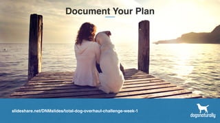 Document Your Plan
slideshare.net/DNMslides/total-dog-overhaul-challenge-week-1
 