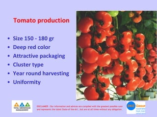 Tomato production

•   Size 150 - 180 gr
•   Deep red color
•   Attractive packaging
•   Cluster type
•   Year round harvesting
•   Uniformity


            DISCLAIMER : Our information and advices are compiled with the greatest possible care
            and represents the latest State-of the-Art , but are at all times without any obligation.
 