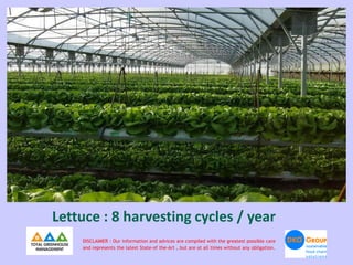 Lettuce : 8 harvesting cycles / year
    DISCLAIMER : Our information and advices are compiled with the greatest possible care
    and represents the latest State-of the-Art , but are at all times without any obligation.
 