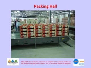 Packing Hall




DISCLAIMER : Our information and advices are compiled with the greatest possible care
and represents the latest State-of the-Art , but are at all times without any obligation.
 