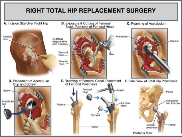 examine joint health guide pdf