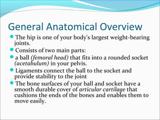 General Anatomical Overview
The hip is one of your body's largest weight-bearing
joints.
Consists of two main parts:
a ball (femoral head) that fits into a rounded socket
(acetabulum) in your pelvis.
Ligaments connect the ball to the socket and
provide stability to the joint
The bone surfaces of your ball and socket have a
smooth durable cover of articular cartilage that
cushions the ends of the bones and enables them to
move easily.
 