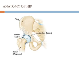 ANATOMY OF HIP
 