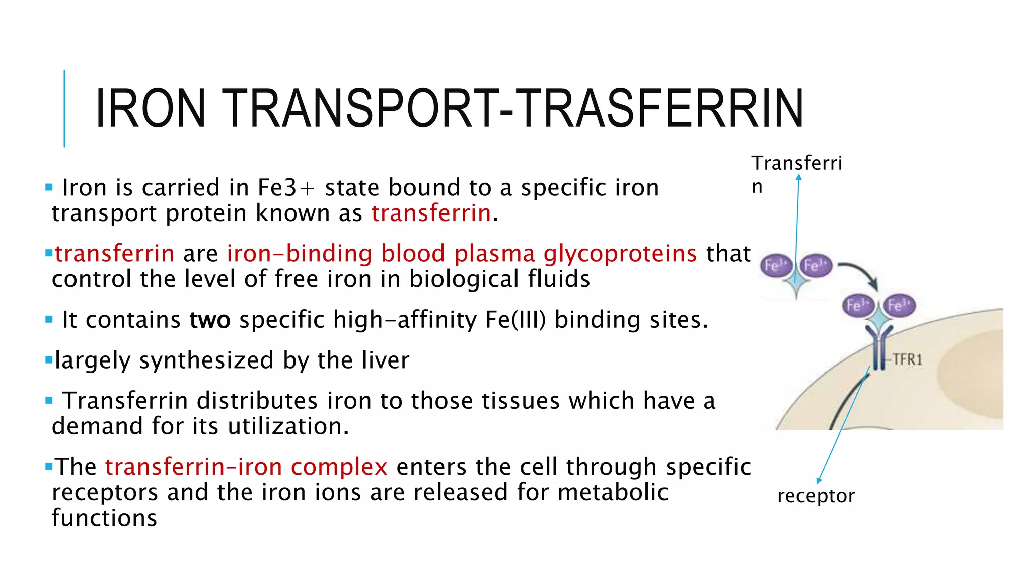 Total iron binding capacity PPT
