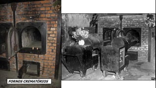 FORNOS CREMATÓRIOS
 