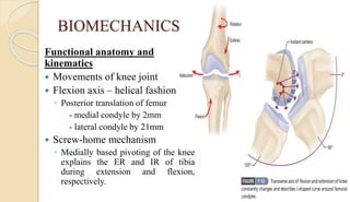 BIOMECHANICS
Functional anatomy and
kinematics
 Movements of knee joint
 Flexion axis – helical fashion
◦ Posterior translation of femur
- medial condyle by 2mm
- lateral condyle by 21mm
 Screw-home mechanism
◦ Medially based pivoting of the knee
explains the ER and IR of tibia
during extension and flexion,
respectively.
 
