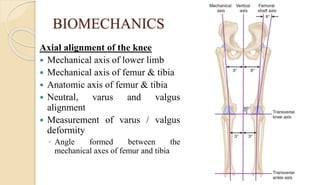 BIOMECHANICS
Axial alignment of the knee
 Mechanical axis of lower limb
 Mechanical axis of femur & tibia
 Anatomic axis of femur & tibia
 Neutral, varus and valgus
alignment
 Measurement of varus / valgus
deformity
◦ Angle formed between the
mechanical axes of femur and tibia
 