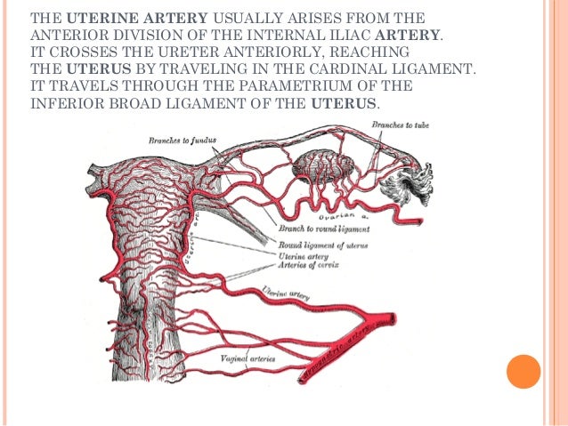 Total Laparoscopic Hysterectomy- Tips, Tricks & Techniques