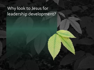 Why look to Jesus for
leadership development?

 