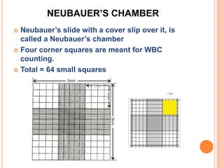 NEUBAUER’S CHAMBER
 Neubauer’s slide with a cover slip over it, is
called a Neubauer’s chamber
 Four corner squares are meant for WBC
counting.
 Total = 64 small squares
 