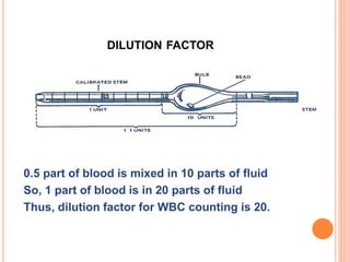 DILUTION FACTOR
0.5 part of blood is mixed in 10 parts of fluid
So, 1 part of blood is in 20 parts of fluid
Thus, dilution factor for WBC counting is 20.
 