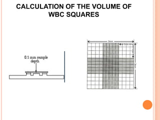 CALCULATION OF THE VOLUME OF
WBC SQUARES
 