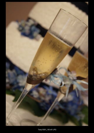 Tasty10001_160 s61.JPG
 