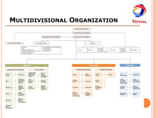 MULTIDIVISIONAL ORGANIZATION
 