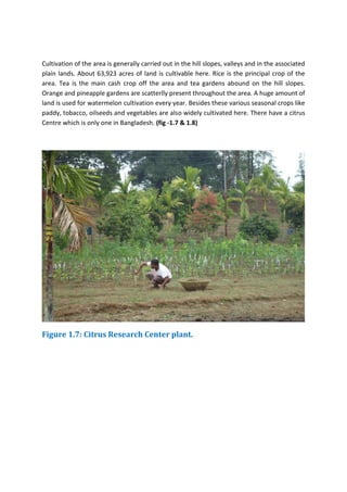 Tamabil EARTH SCIENCES FIELD WORK ALONG JAINTIAPUR - TAMABIL – JAFLONG SECTION ...