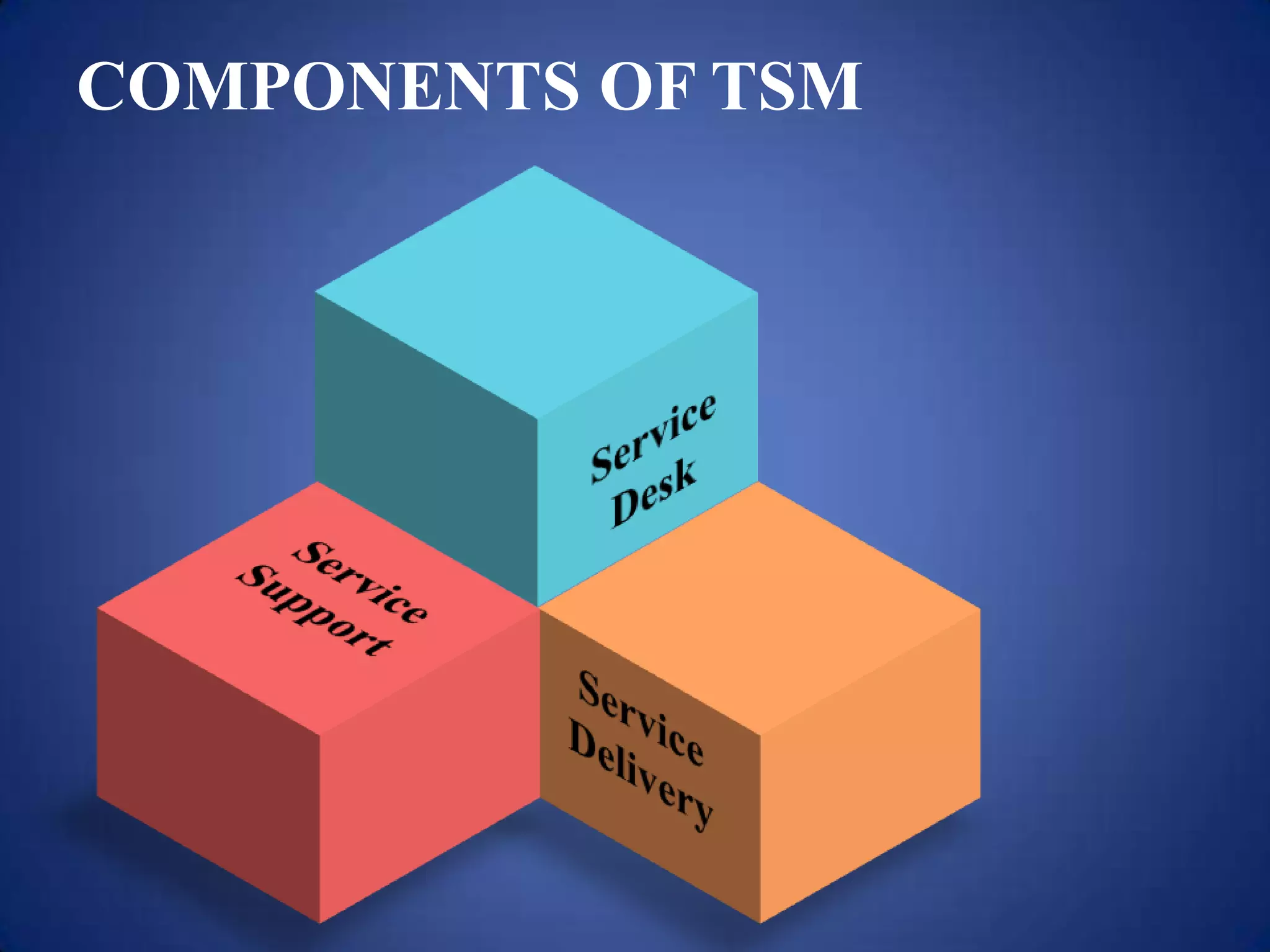 COMPONENTS OF TSM
 
