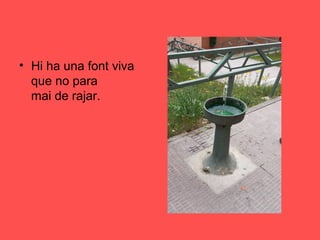 • Hi ha una font viva
que no para
mai de rajar.
 