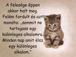 A felesége éppen akkor halt meg. Felém fordult és azt mondta: „semmit ne tartogass egy különleges alkalomra. Minden nap amit élsz egy különleges alkalom.” 