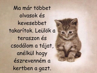 Ma már többet olvasok és kevesebbet takarítok. Leülök a teraszon és csodálom a tájat ,  anélkül hogy észrevenném a kertben a gazt. 